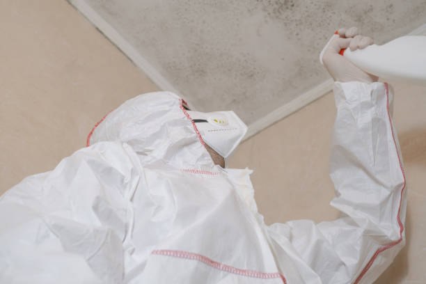 Best Mold Odor Removal Services  in Piedmont, AL